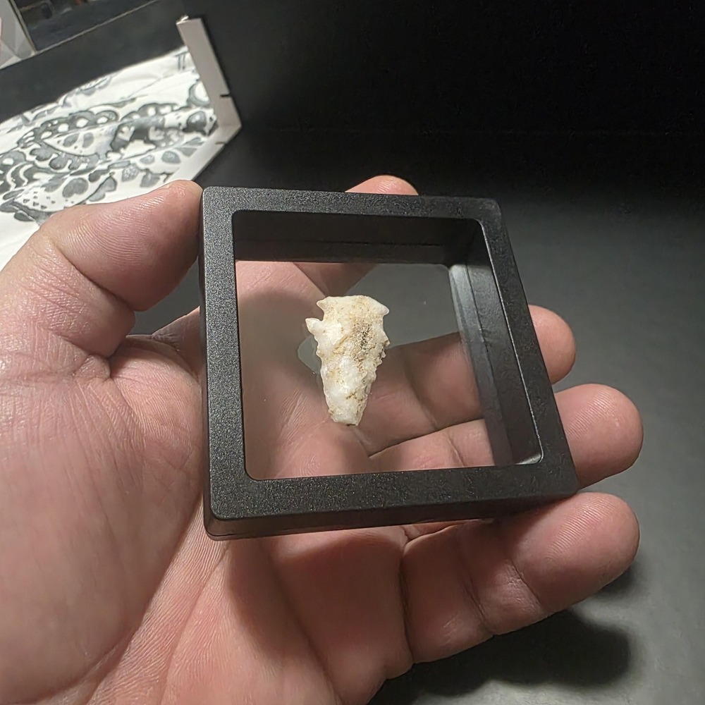 Stone Projectile Point Lithic – Mexico Origin – Unauthenticated - Picture 3 of 4